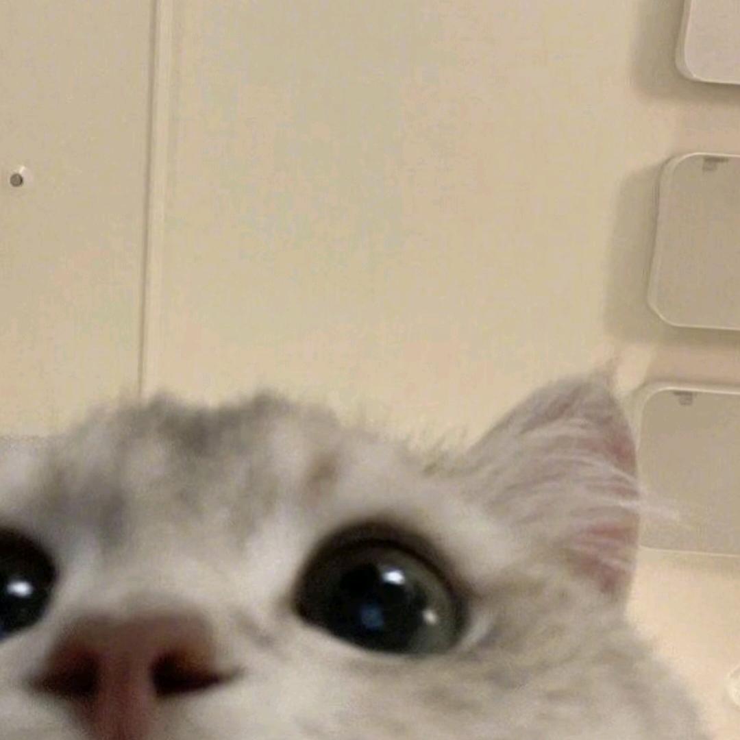 ꉂ ･ ･ ིྀฅ