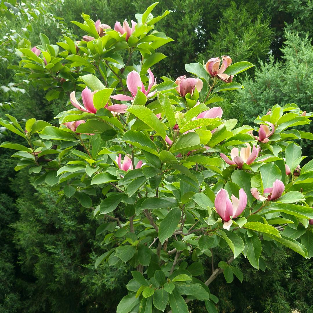 /简单就是幸福^O^