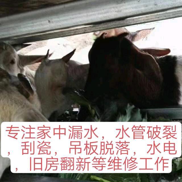 展望未来低励前行