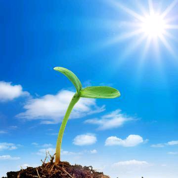 小月（感恩遇见）