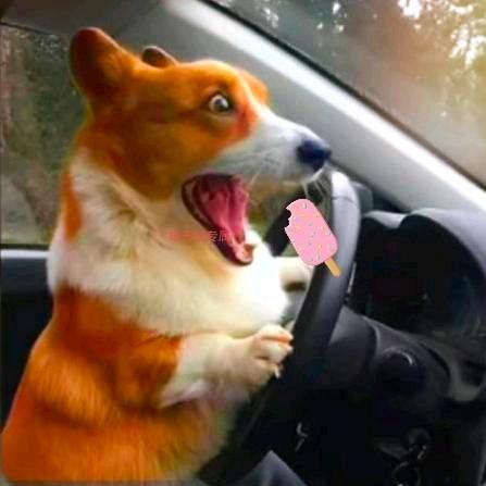 看你笑〆