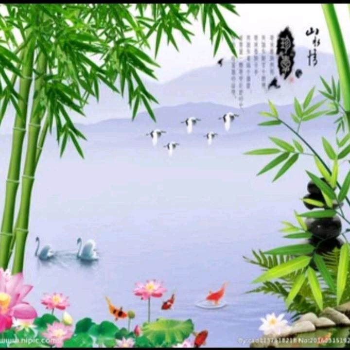 高风亮节