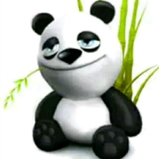 平底锅局锅局长