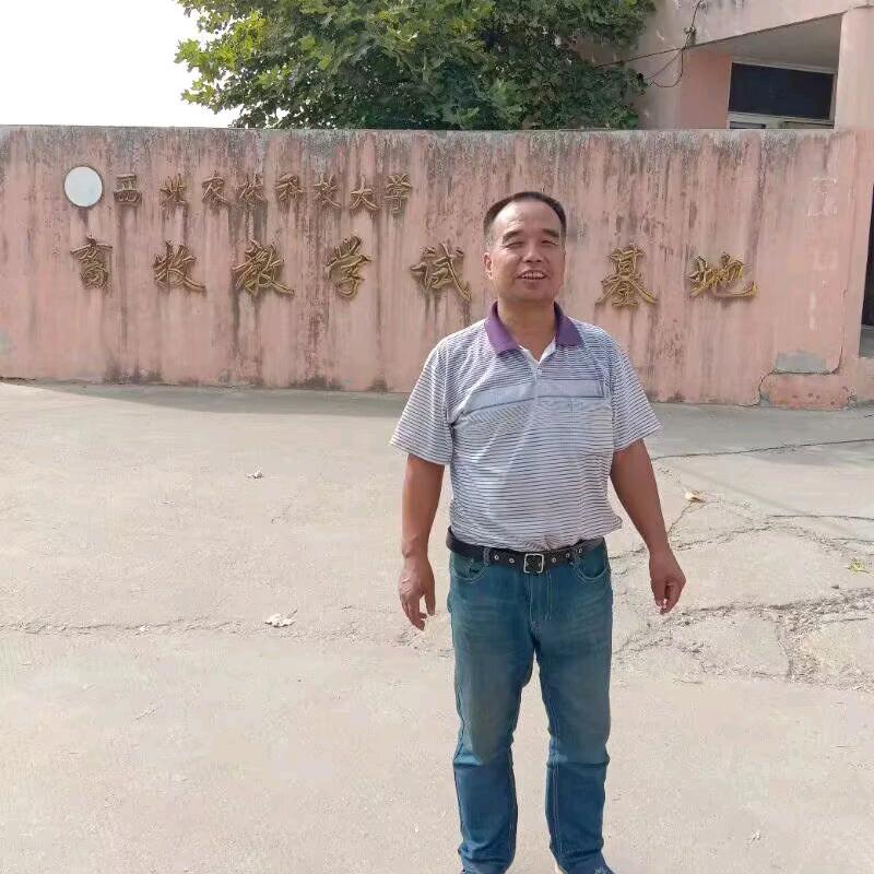 奋斗每一天孙权