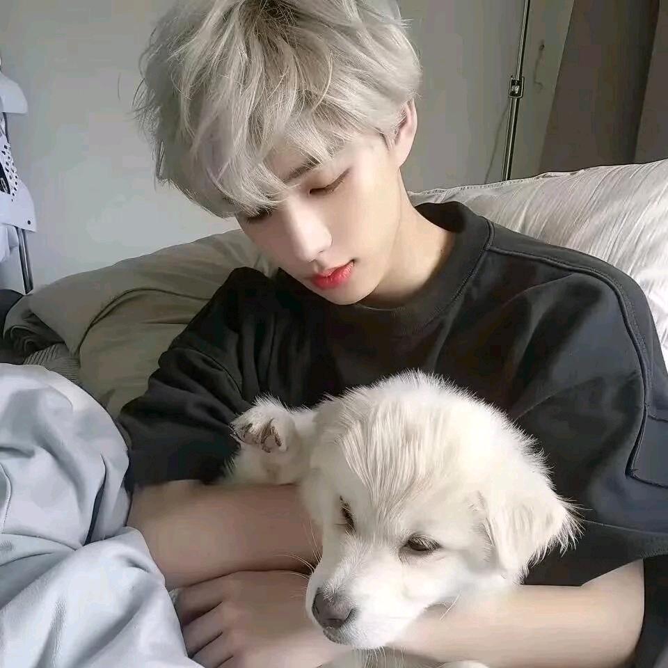 爱 与 情