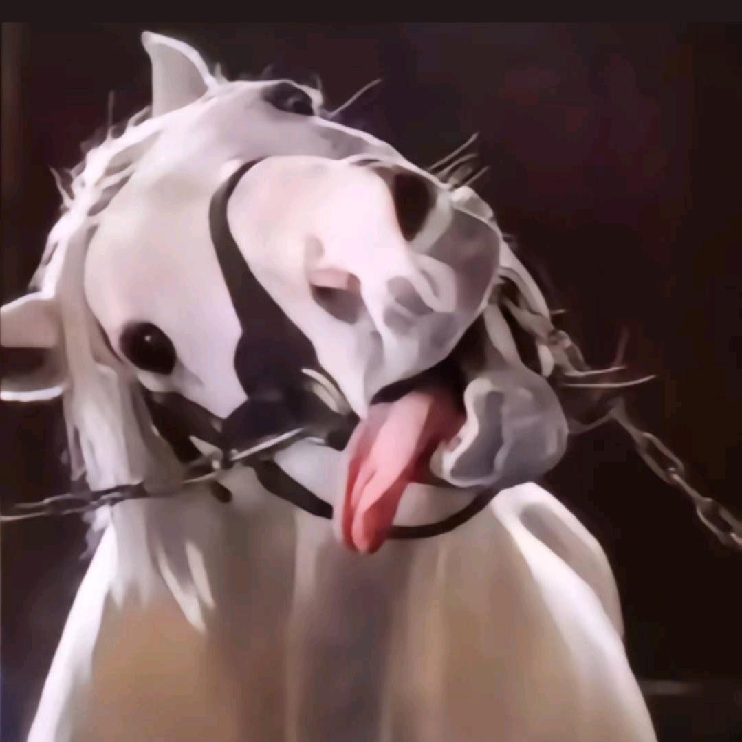 舟灷