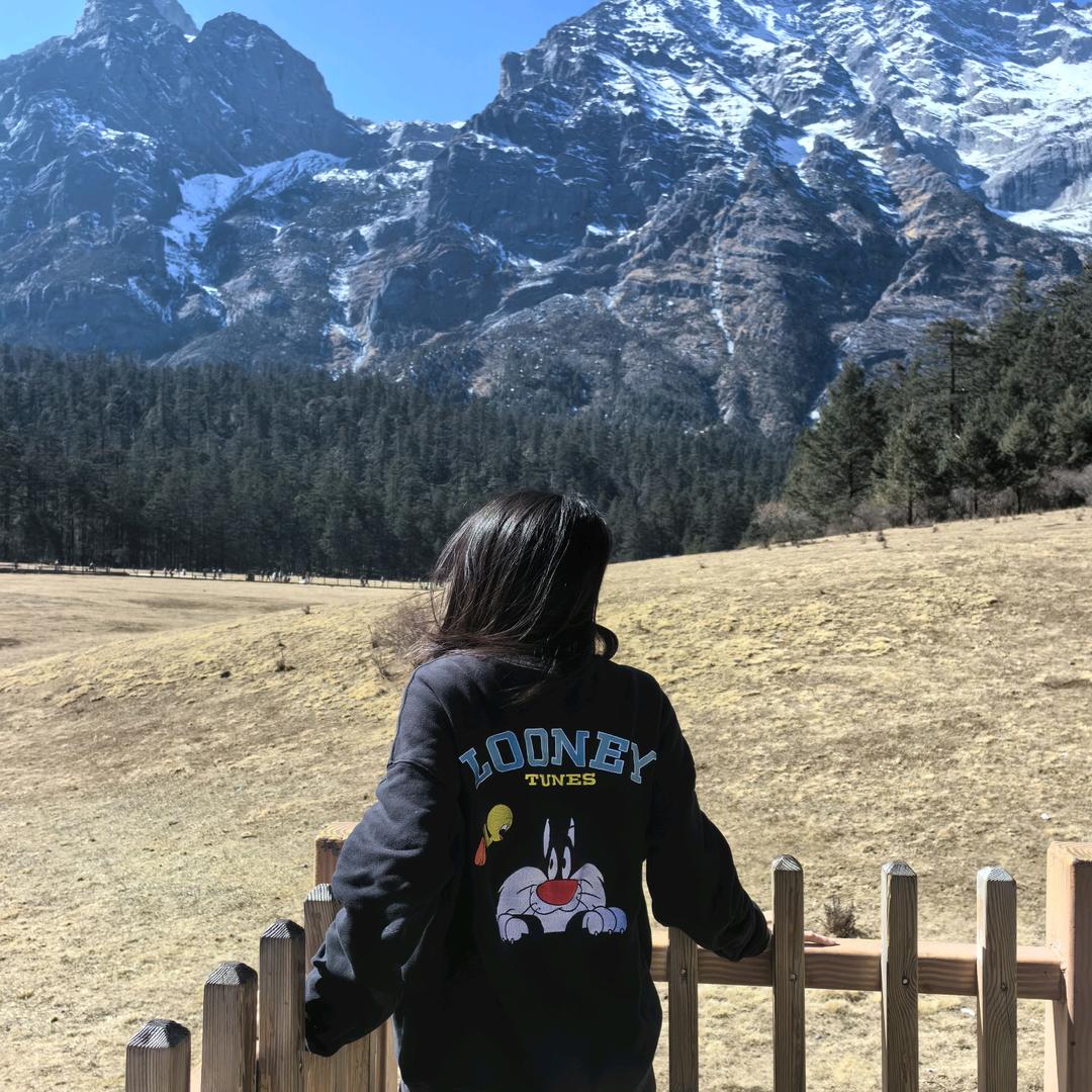 VIC