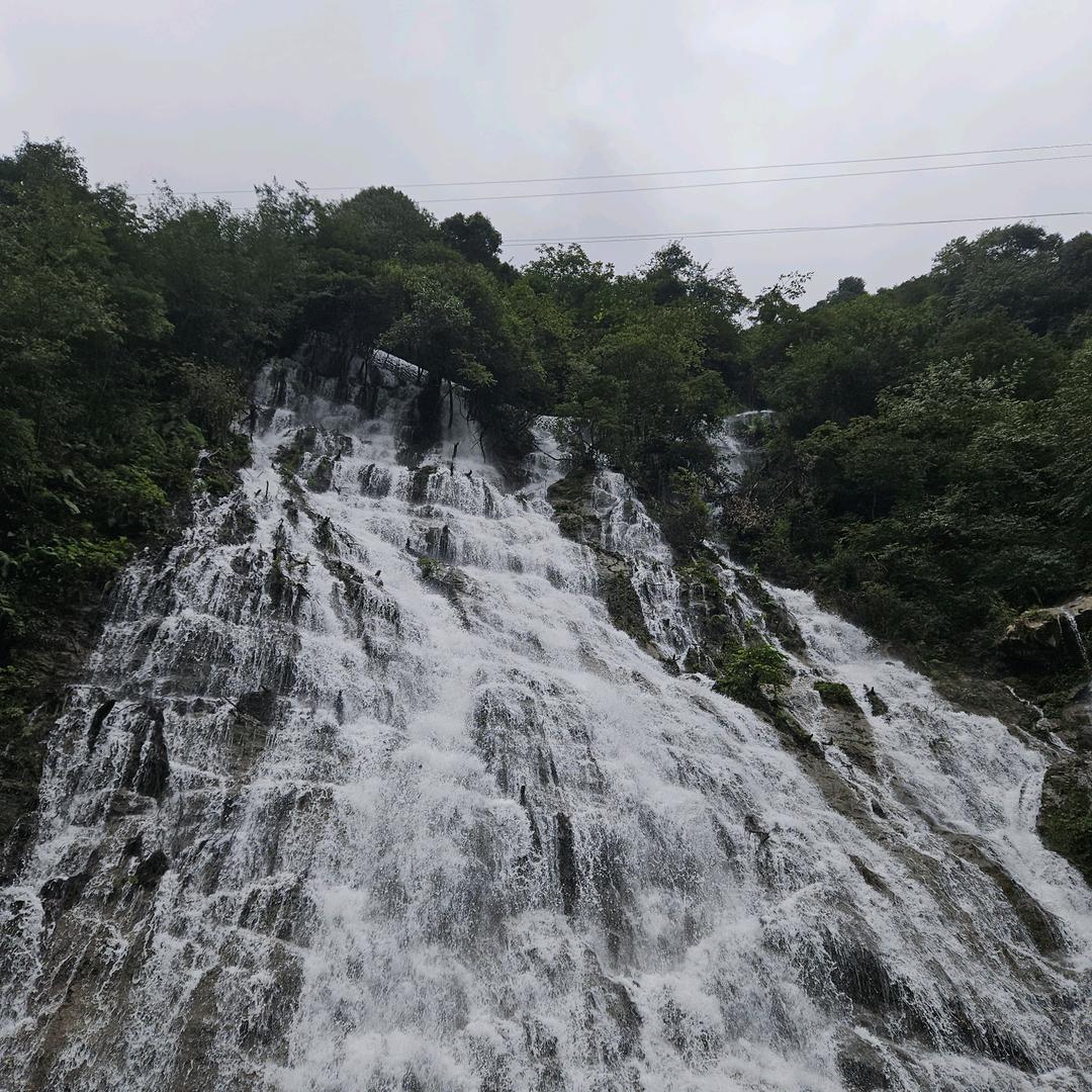 那只海狗在划水