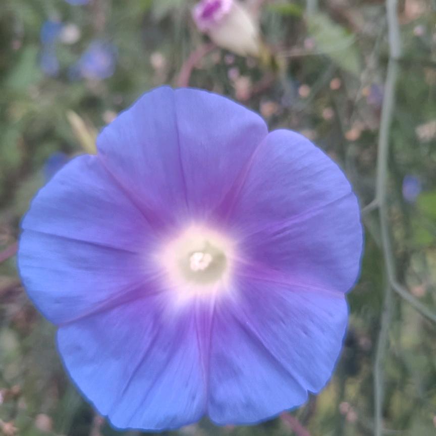 清🥀湾娥姐（拒绝私聊）