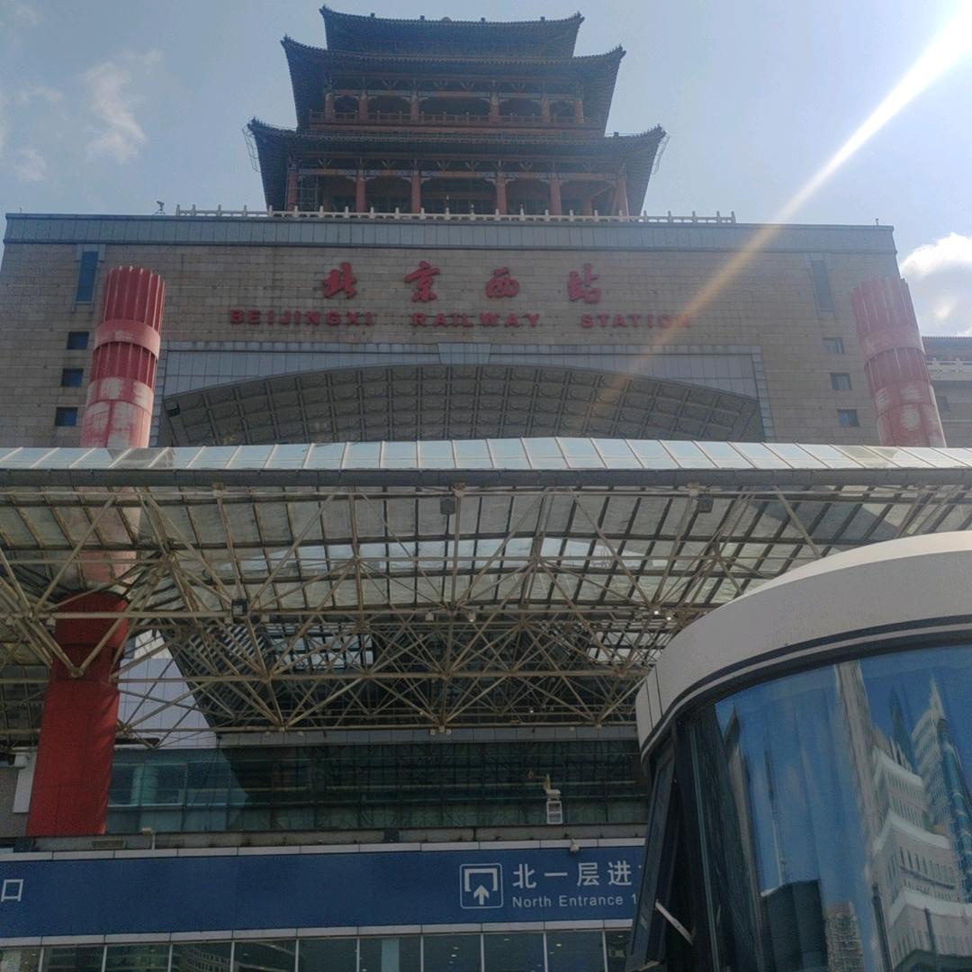 女贞造型🌲