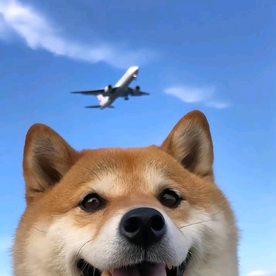 其实我还好