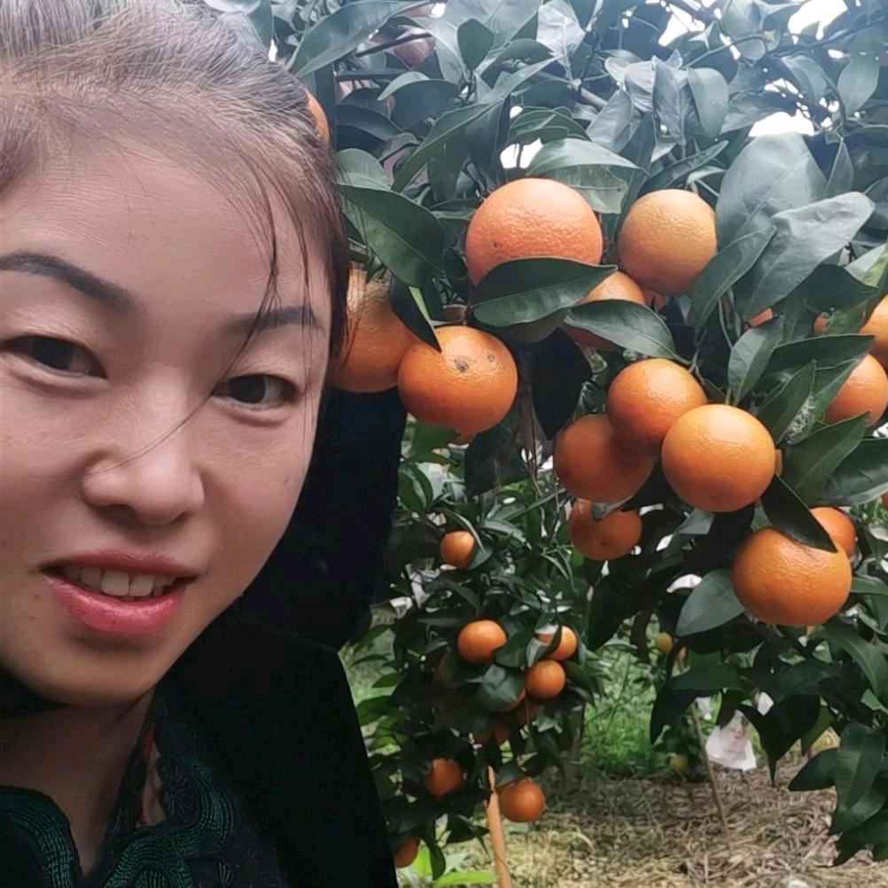 陈姐果园农场a1076965875