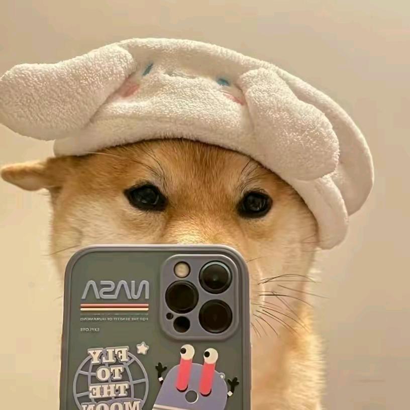 库库狗