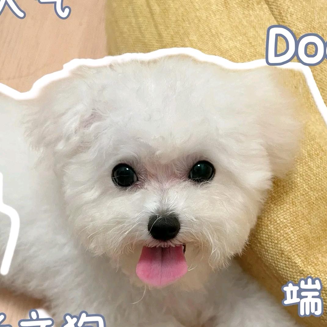 帅气老叔