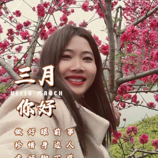 红玫瑰