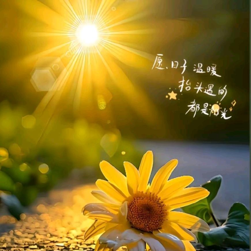 霸王花、