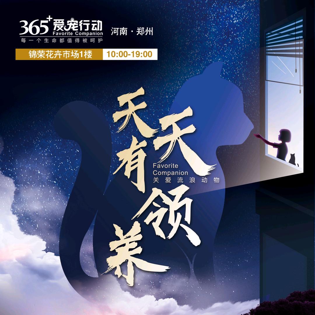 365+郑州领养