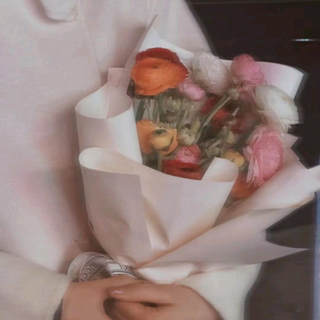 小杨没烦劳
