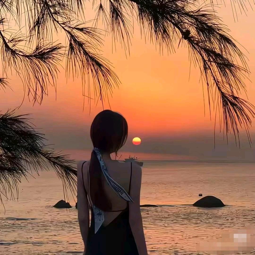 人傻嘴不甜长得不美还没钱   🪳