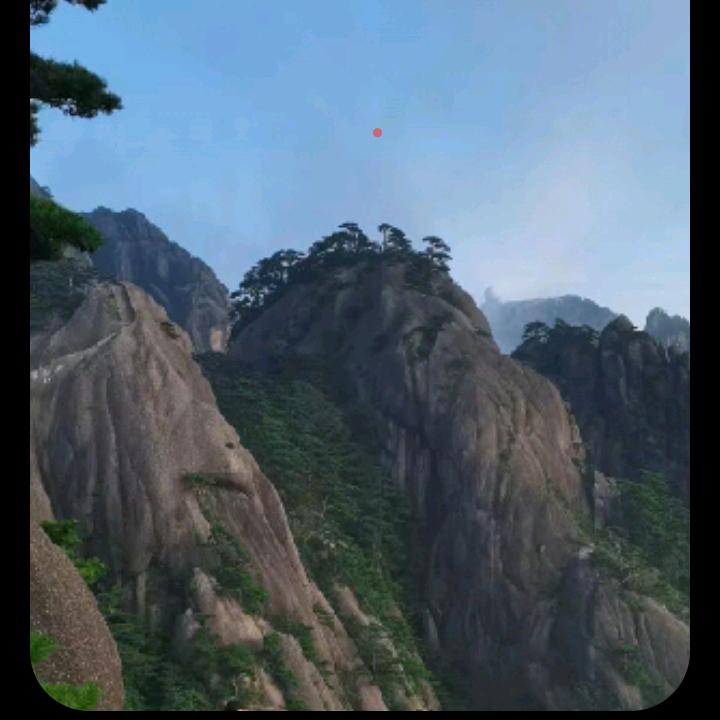 司卫霞