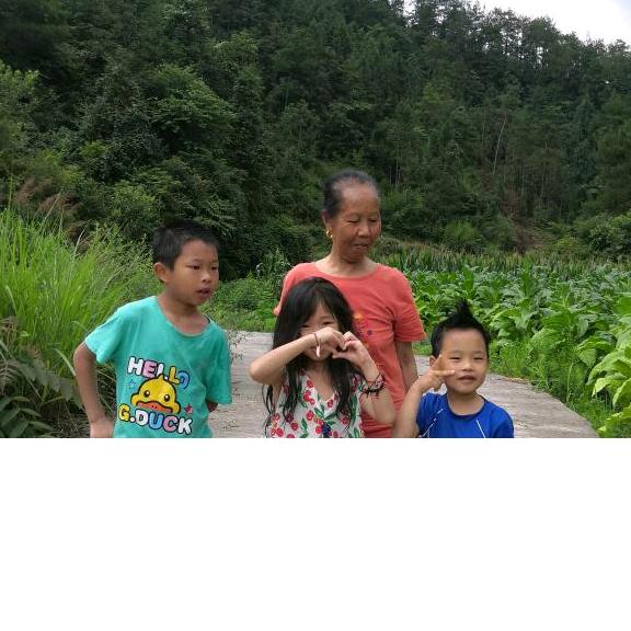 张 英