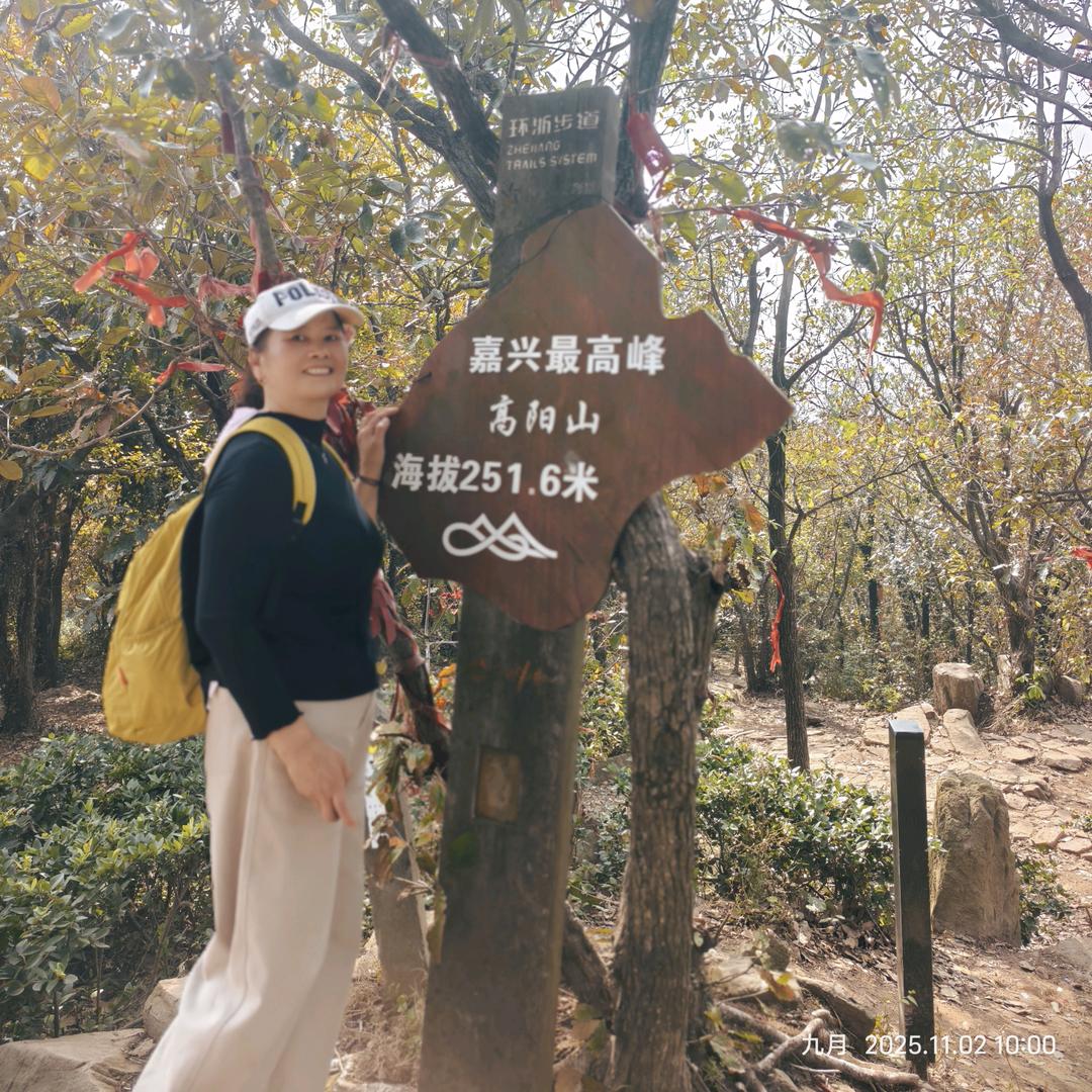 木子姐姐