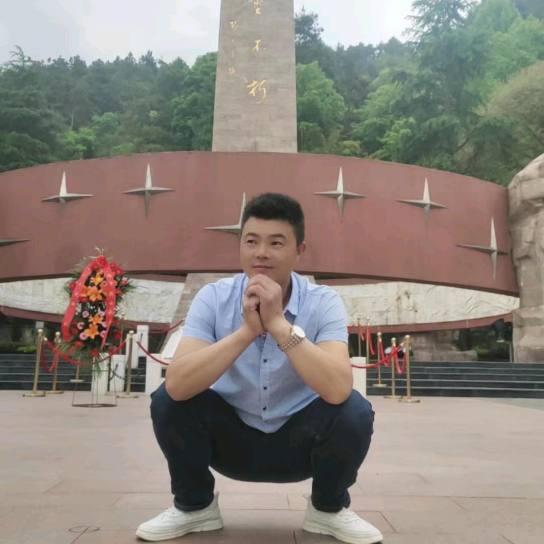 一只流浪猫（杨侄福）