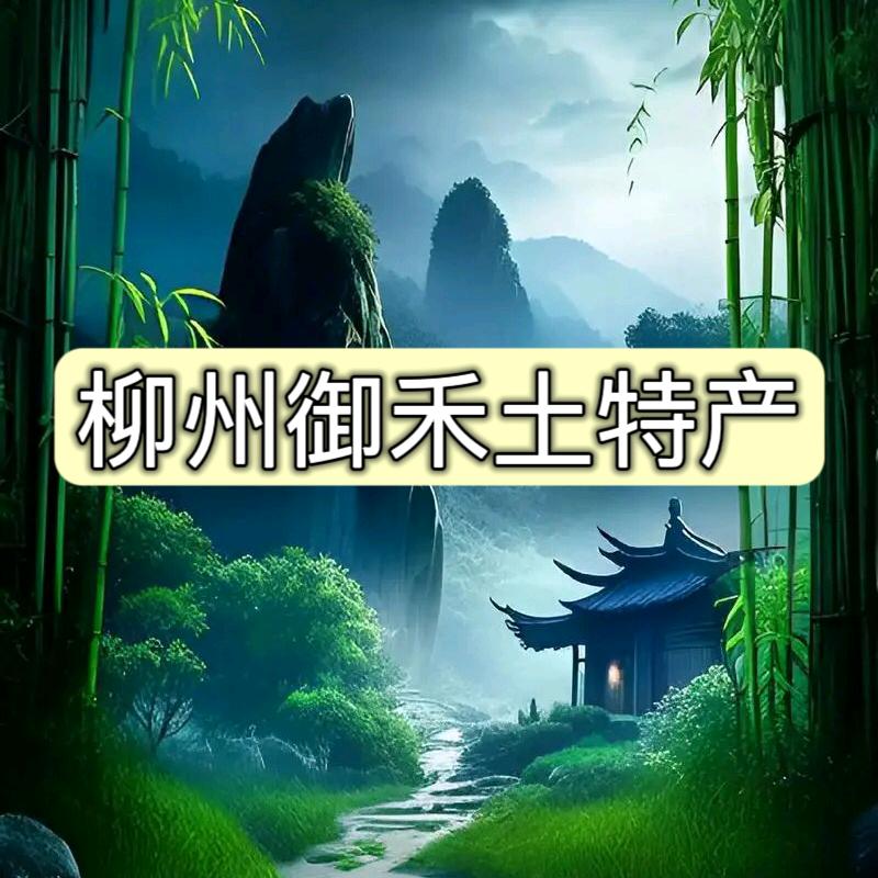 柳州御禾土特产