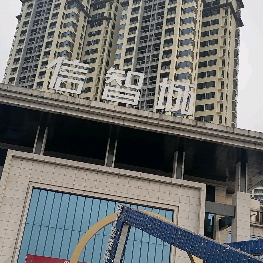 未来的梦