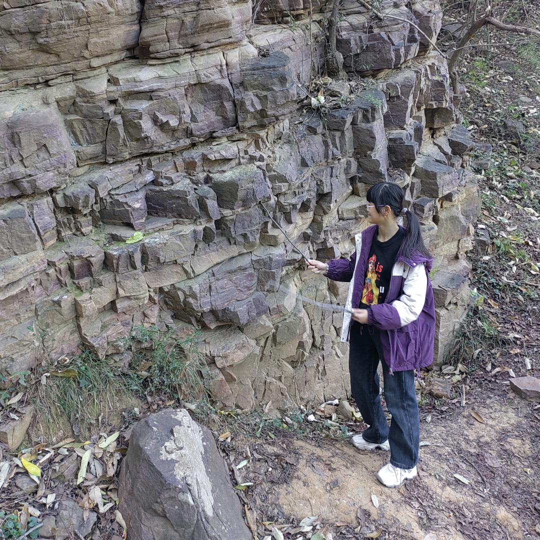苒苒冬去春来