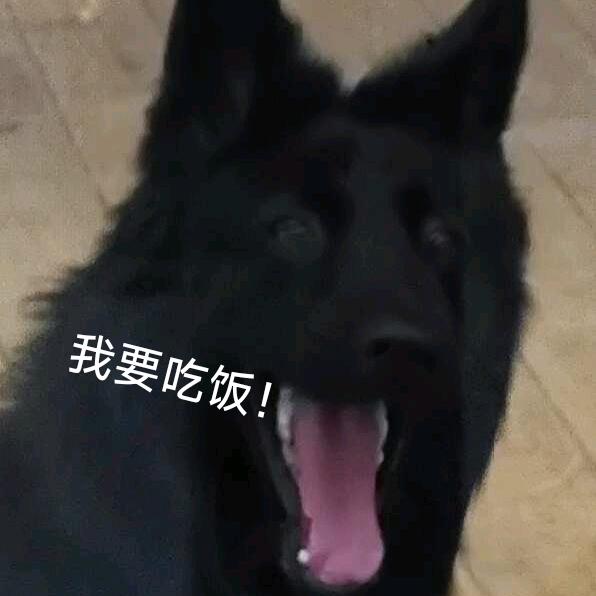 铛子哥