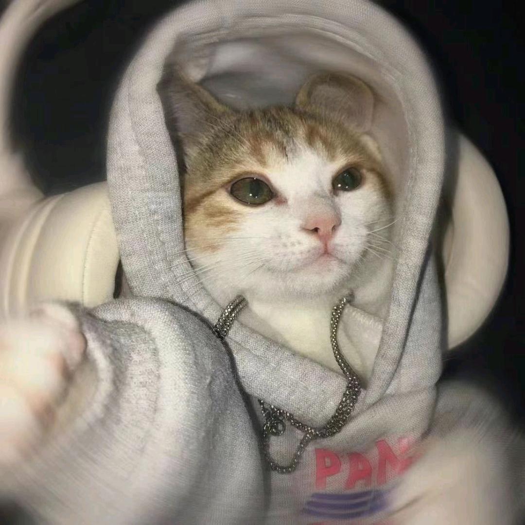 七安