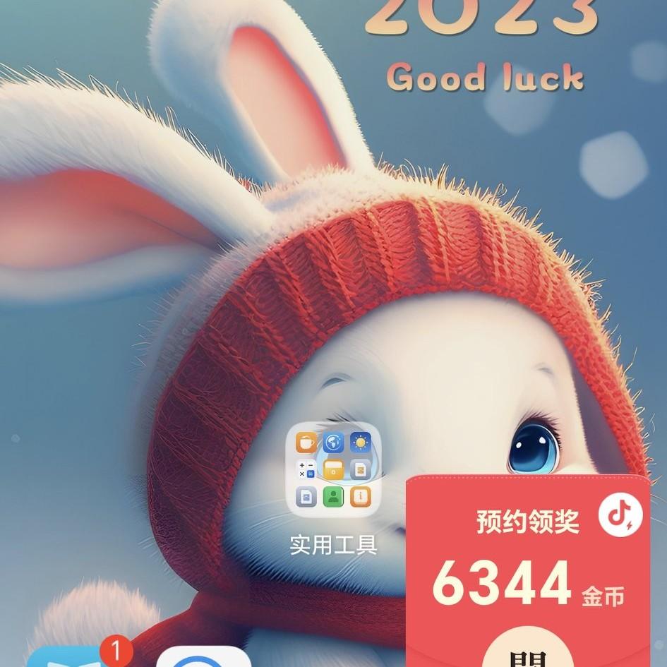 琴姐