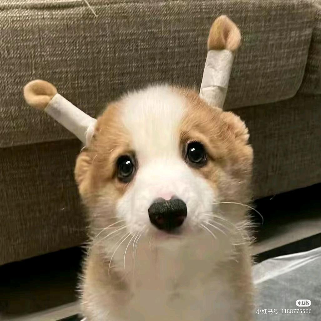 无敌霹雳