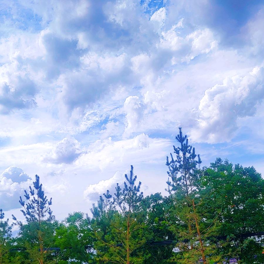 奶糕的装修日记（新房 装修中）