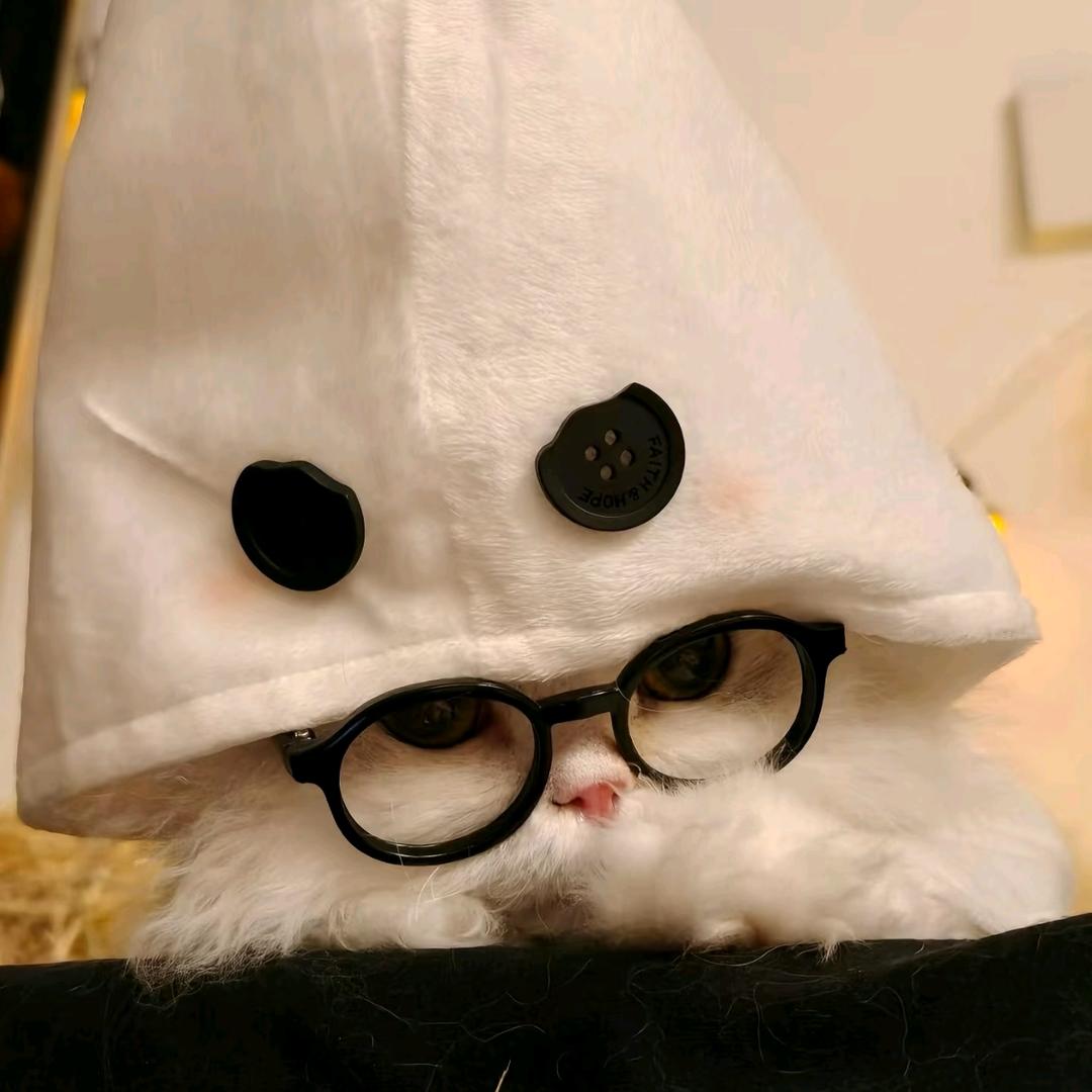 猫薄荷罐头