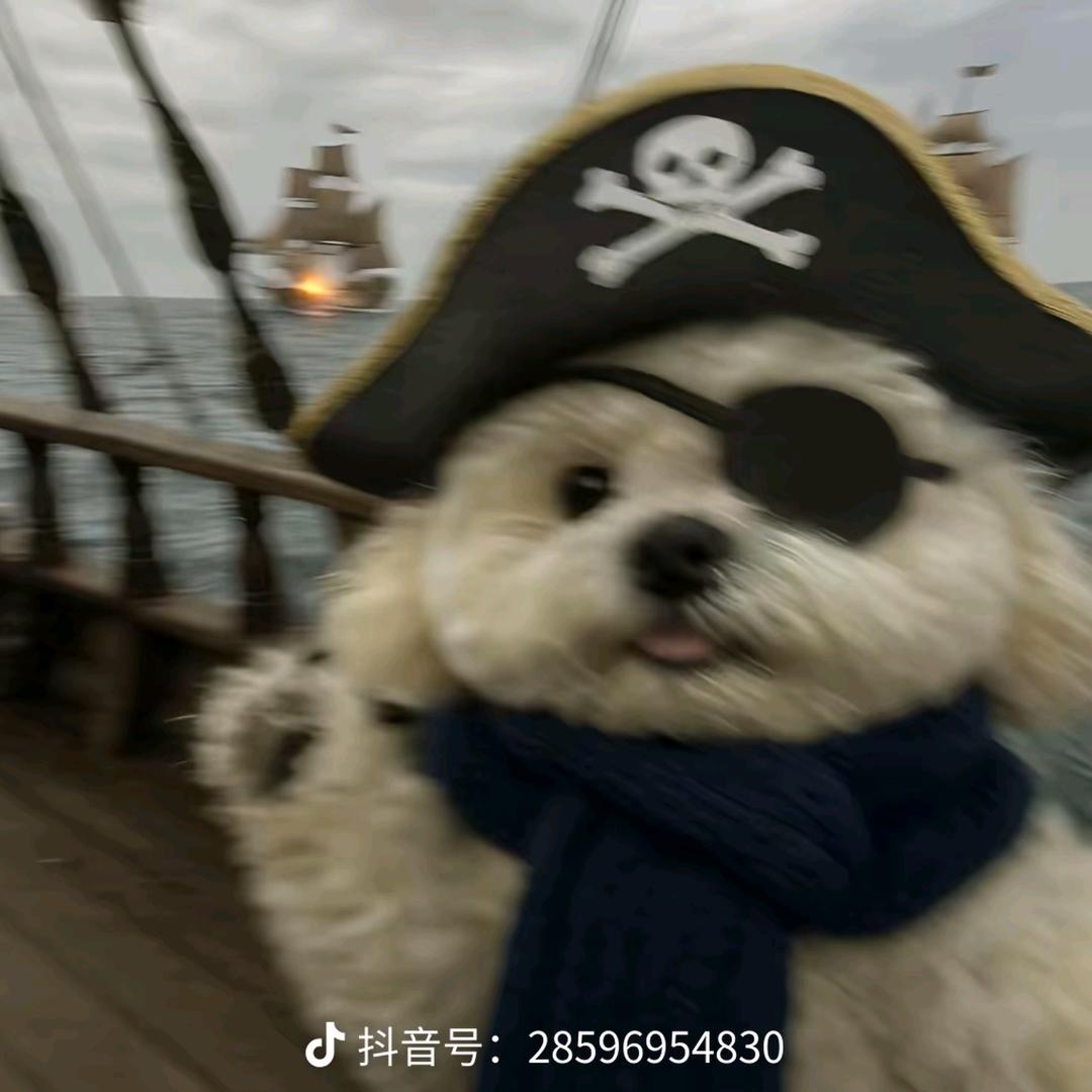 你 看 你 玛 呢