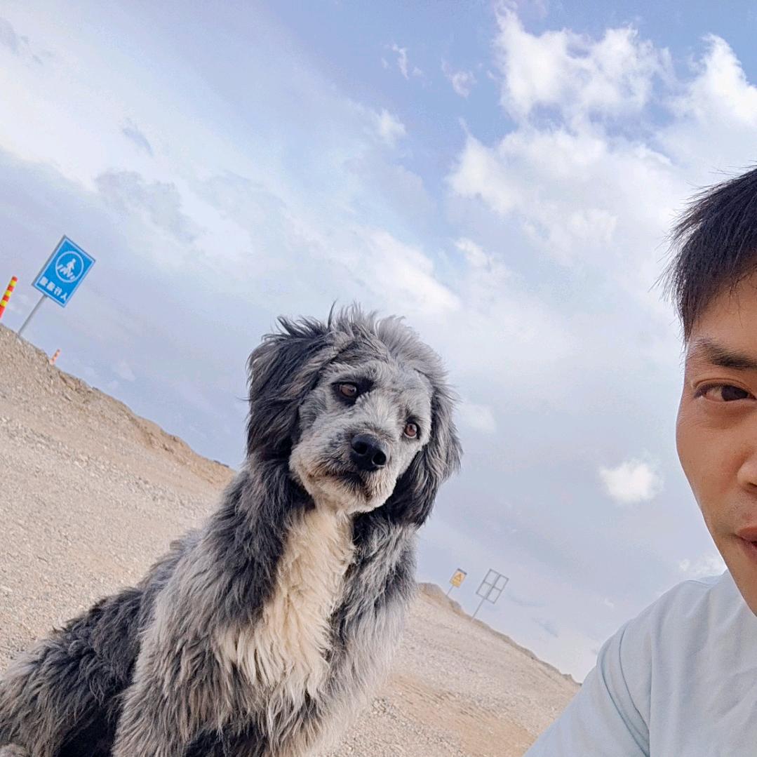 单身。小王