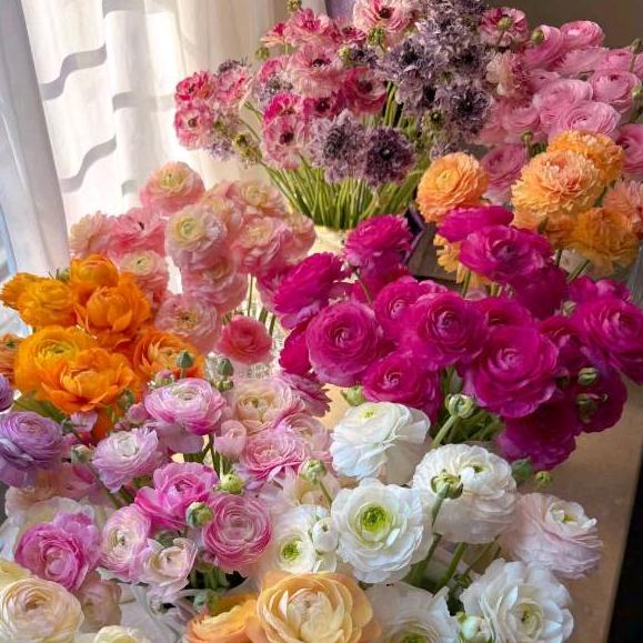 🌈你怎么脸红🌈