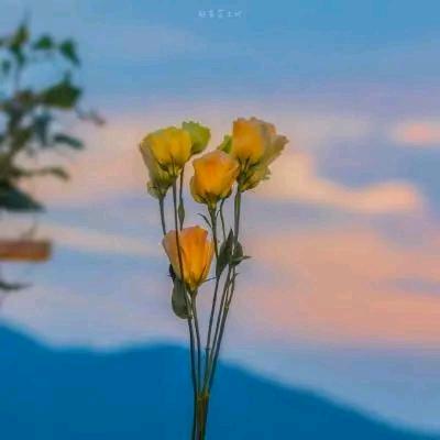 《杰克团队》