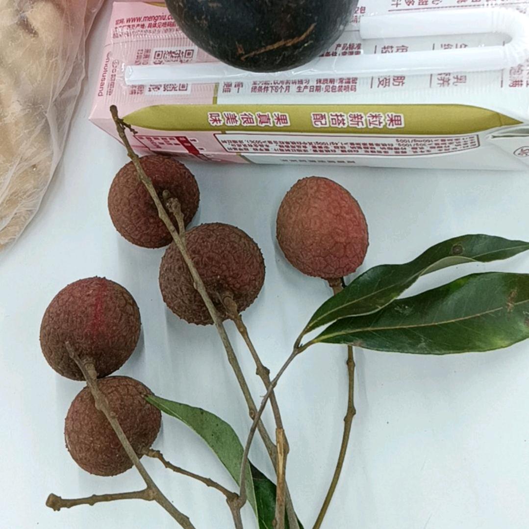 ♥٩(๑`千逐๑)۶