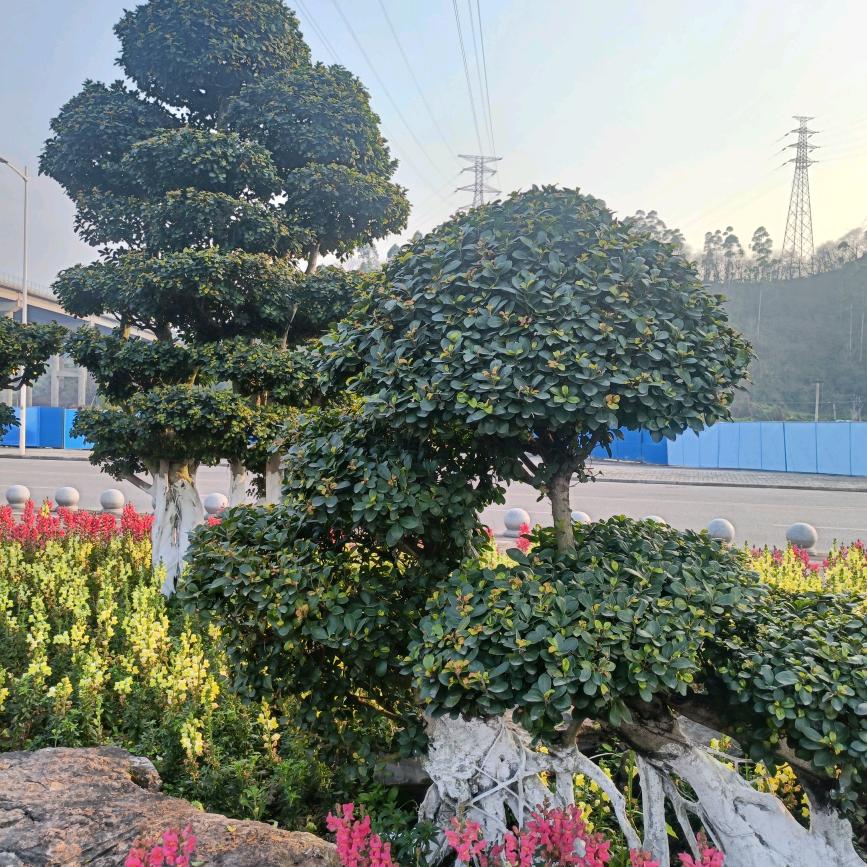 用户48114753一直有你（李）