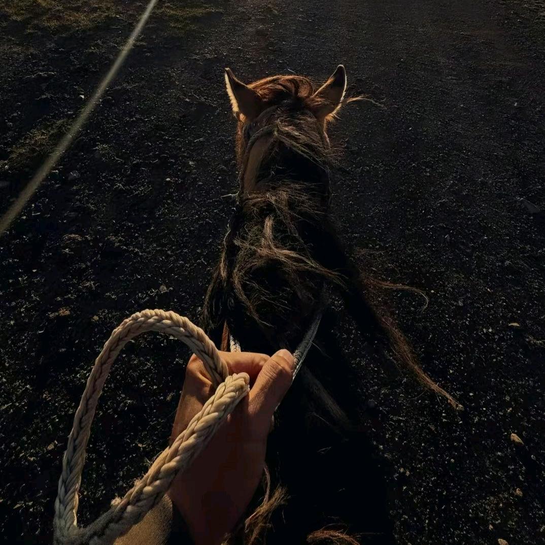 @💫ᮨ໌້𝛇𝓬𝓥𝓮如初💔⃟