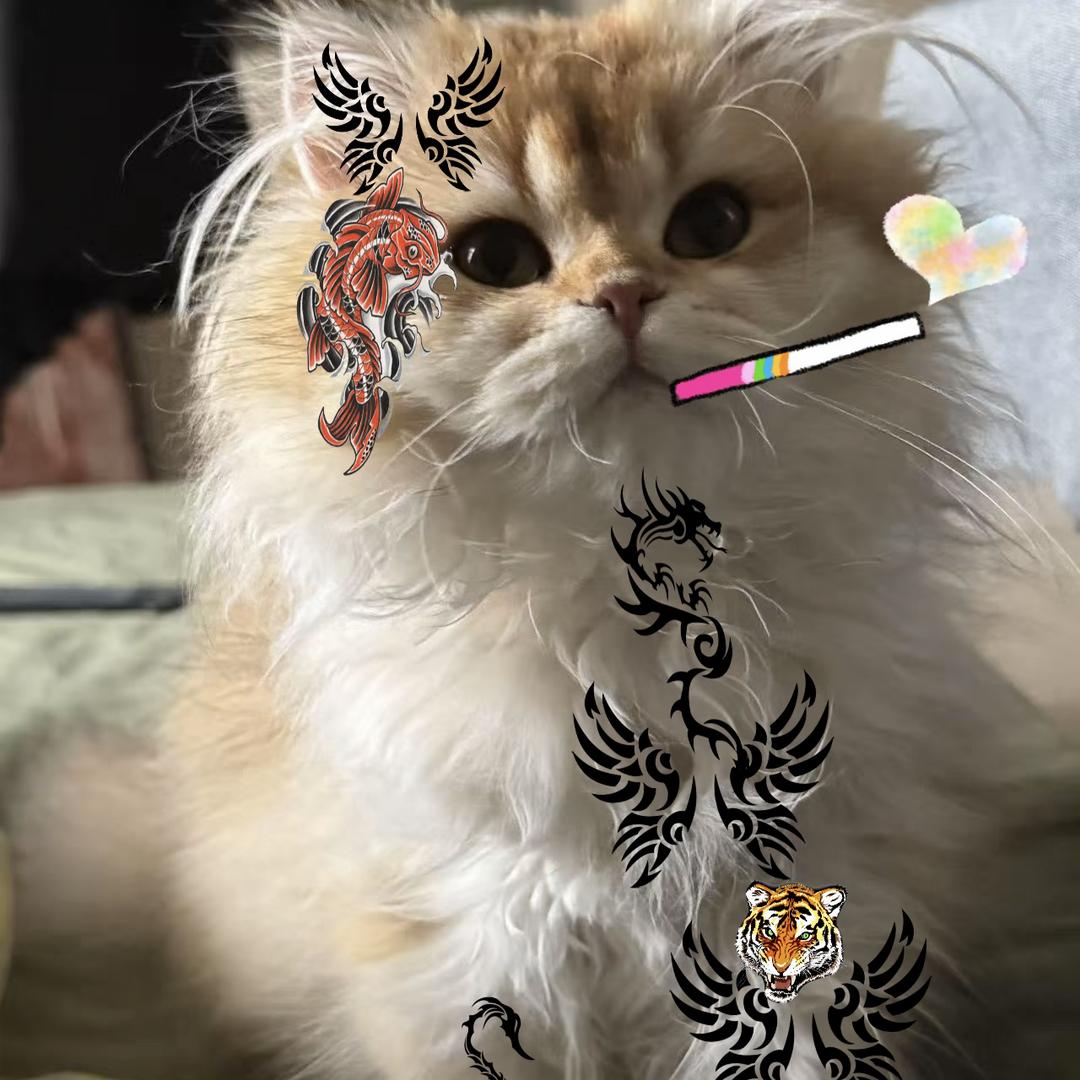 暴躁小狮子