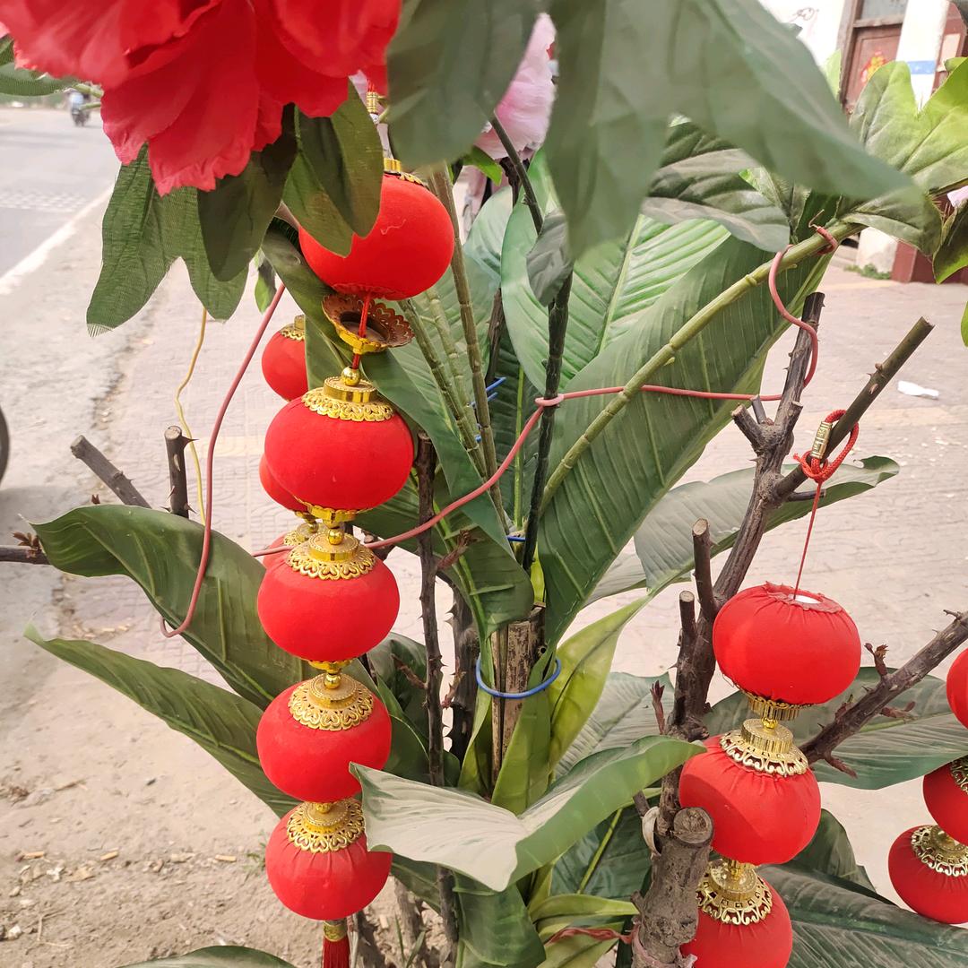 开心果（拒绝连赞）