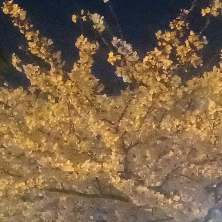 碧海蓝天，帆船之都