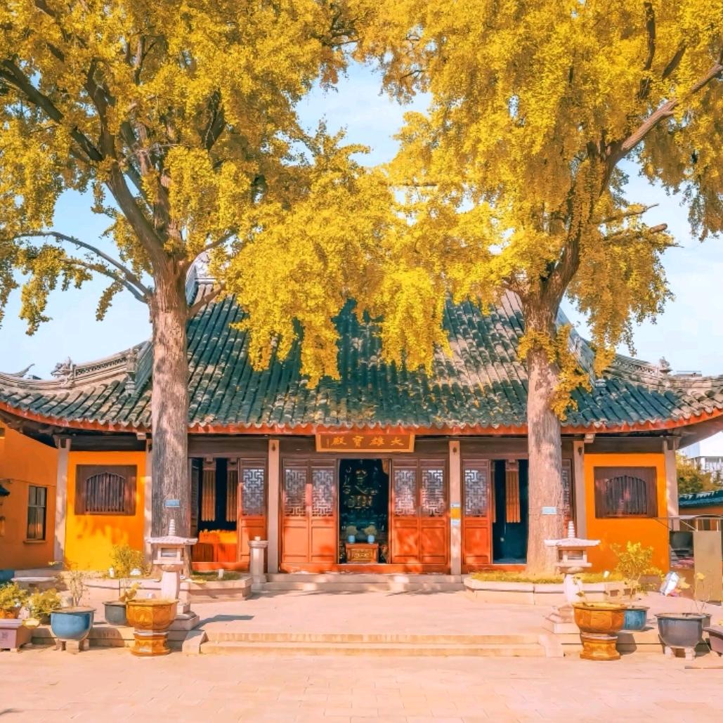 星星✨✨点灯