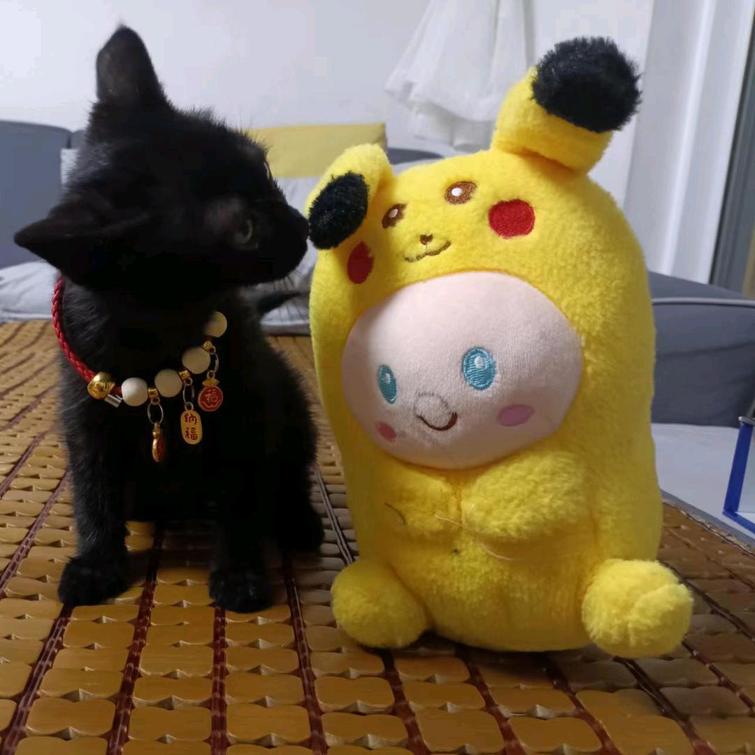 他是我的白月光