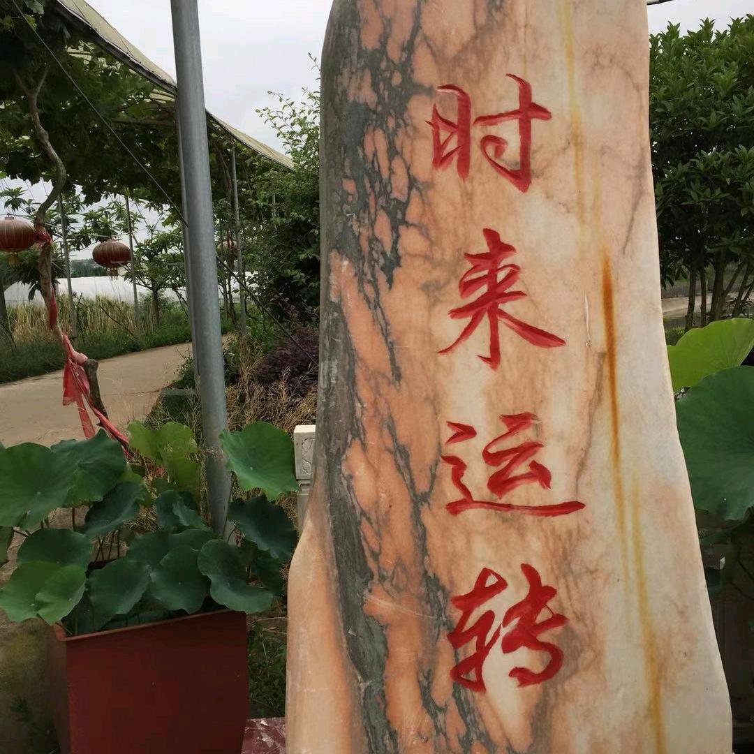 果果5有效