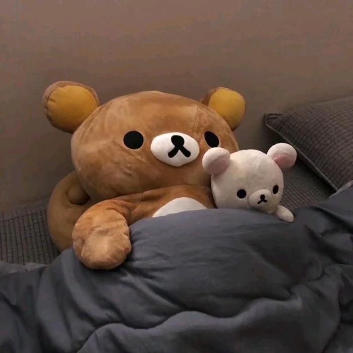 贪吃熊🐻